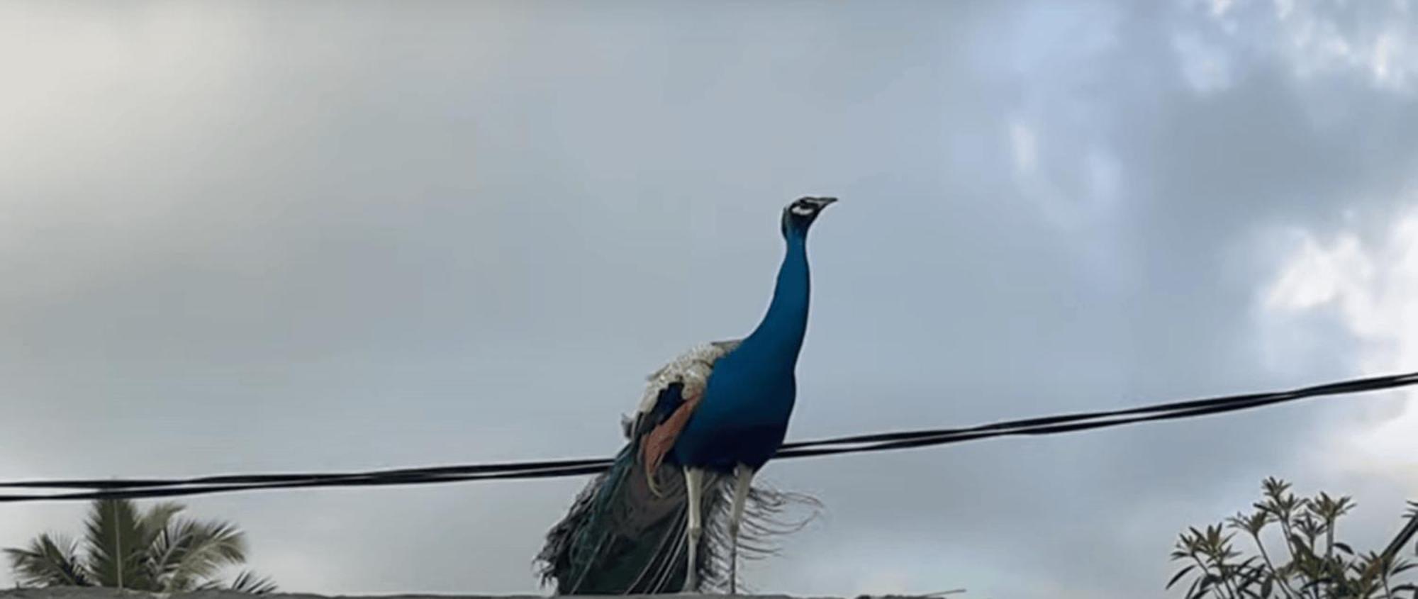 הוילה אונה ואטונה Freedom House מראה חיצוני תמונה